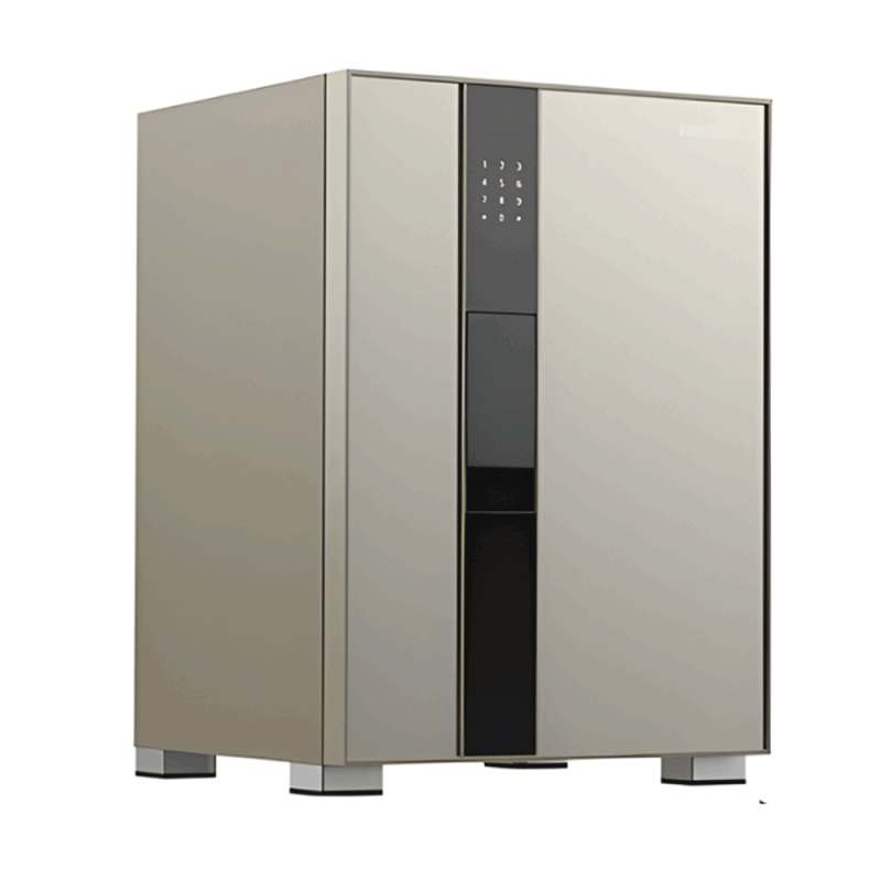 Két Sắt Philips Valis 5BU 93 kg